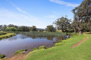 Acreage/Semi-rural Sold - VIC - Tolmie - 3723 - A High Country Haven  (Image 2)