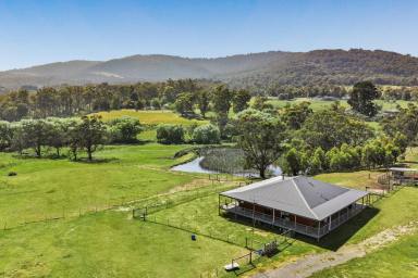 Acreage/Semi-rural Sold - VIC - Tolmie - 3723 - A High Country Haven  (Image 2)