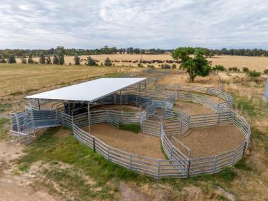 Mixed Farming For Sale - NSW - Wagga Wagga - 2650 - EDGE OF CITY RURAL LANDHOLDING PURCHASE & LEASE OPPORTUNITY  (Image 2)