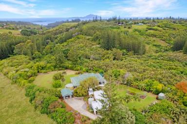 House For Sale - NSW - Norfolk Island - 2899 - Ocean View Oasis  (Image 2)