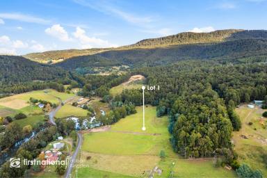 Residential Block For Sale - TAS - Surges Bay - 7116 - Claim Your Own Slice of Rich Pasture on Nearly 20 Acres!  (Image 2)