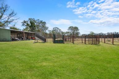 House For Sale - NSW - Wilberforce - 2756 - 25 Arable Acres - Endless Possibilities  (Image 2)