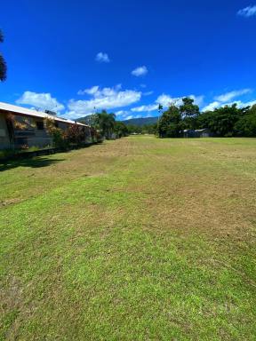 Residential Block For Sale - QLD - Cardwell - 4849 - Large Block Cardwell $250K  (Image 2)