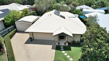 House Sold - QLD - Palmwoods - 4555 - PRACTICAL FAMILY HOME  (Image 2)