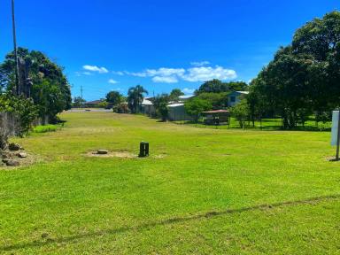 Residential Block For Sale - QLD - Cardwell - 4849 - Bowen Street Block $100K  (Image 2)