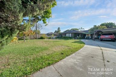 House Sold - WA - Hamersley - 6022 - Discover Timeless Charm in Hamersley - 254 Erindale Road awaits!  (Image 2)