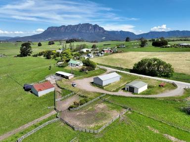Mixed Farming For Sale - TAS - West Kentish - 7306 - UNDER CONTRACT - Rural Acreage - 85.4 Hectares, Two Homes, Three titles  (Image 2)