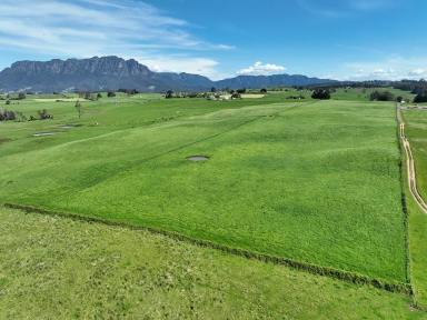 Mixed Farming For Sale - TAS - West Kentish - 7306 - UNDER CONTRACT - PENDING SETTLEMENT Rural Acreage - 85.4 Hectares, Two Homes, Three titles  (Image 2)