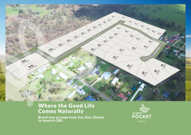 Residential Block For Sale - QLD - Aratula - 4309 - PREMIUM LIFESTYLE LAND  (Image 2)