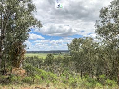 Mixed Farming For Sale - NSW - Inverell - 2360 - AMAZING VIEWS & ABSOLUTE PRIVACY  (Image 2)