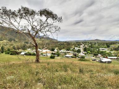 Residential Block For Sale - VIC - Omeo - 3898 - OVERLOOKING OMEO  (Image 2)