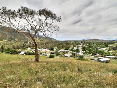 Residential Block Sold - VIC - Omeo - 3898 - OVERLOOKING OMEO  (Image 2)