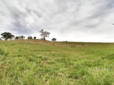 Residential Block Sold - VIC - Omeo - 3898 - OVERLOOKING OMEO  (Image 2)