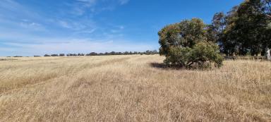 Lifestyle Sold - WA - Wagin - 6315 - 30 Acre "Get Away"  (Image 2)