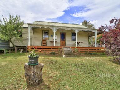 House Sold - VIC - Omeo - 3898 - COUNTRY RETREAT IN BEAUTIFUL OMEO  (Image 2)