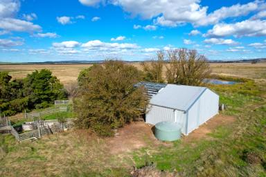 Other (Rural) For Sale - NSW - Goulburn - 2580 - Rare Find!  (Image 2)