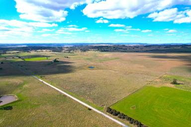 Other (Rural) For Sale - NSW - Goulburn - 2580 - Rare Find!  (Image 2)