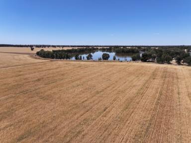 Mixed Farming For Sale - NSW - Ariah Park - 2665 - Highly Productive Property For Sale In Tightly Held District.  (Image 2)