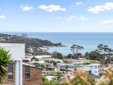 House For Sale - TAS - Bridport - 7262 - It's all about the views !  (Image 2)