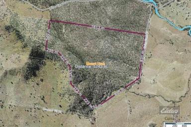 Residential Block For Sale - QLD - Munna Creek - 4570 - UNIQUE OPPORTUNITY!  (Image 2)