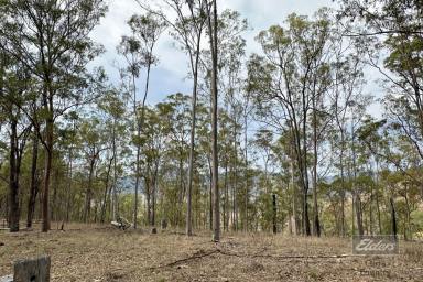 Residential Block For Sale - QLD - Munna Creek - 4570 - UNIQUE OPPORTUNITY!  (Image 2)