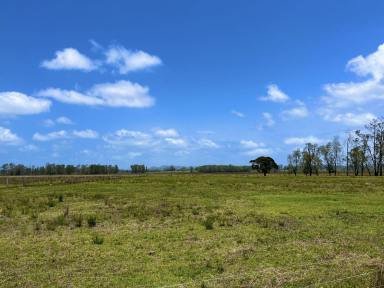 Mixed Farming For Sale - NSW - Bora Ridge - 2471 - MIXED FARMING OPPORTUNITY - 289 ACRES (117hA)  (Image 2)