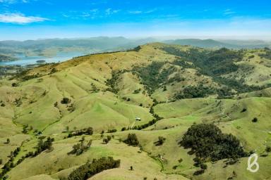 Mixed Farming Sold - NSW - Singleton - 2330 - "MIDDLE FALL" | HIGH QUALITY GRAZING COUNTRY | 777 ACRES  (Image 2)