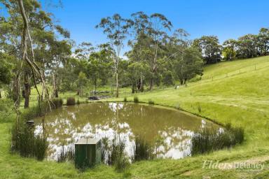 House Sold - VIC - Moe - 3825 - Live Amongst the Birds & the Trees  (Image 2)