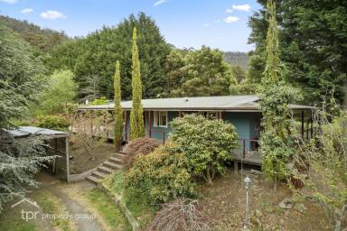 House Sold - TAS - Lucaston - 7109 - A Garden Wonderland  (Image 2)
