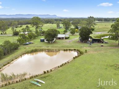Lifestyle Sold - NSW - Keinbah - 2320 - COTTAGE AND SMALL ACREAGE IN HUNTER VALLEY WINE COUNTRY  (Image 2)