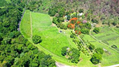 House Sold - QLD - Murray Upper - 4854 - Rural Lifestyle $580K  (Image 2)