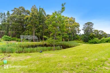 Residential Block For Sale - TAS - Woodbridge - 7162 - Rare North-facing Building Block in the Village  (Image 2)