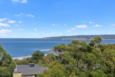 House For Lease - VIC - Skenes Creek - 3233 - Skenes Surf Shack  (Image 2)