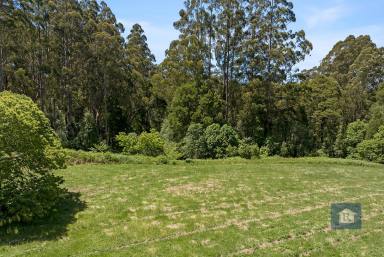 Other (Rural) For Sale - VIC - Weeaproinah - 3237 - Your Oasis in the Otway Ranges...  (Image 2)