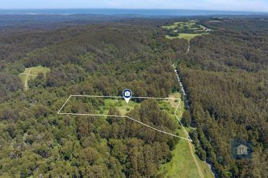 Other (Rural) For Sale - VIC - Weeaproinah - 3237 - Your Oasis in the Otway Ranges...  (Image 2)