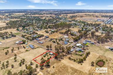 Residential Block For Sale - VIC - Huntly - 3551 - Build or Land Bank  (Image 2)