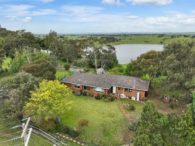 Lifestyle For Sale - VIC - Alvie - 3249 - LAKEVIEW RURAL GEM  (Image 2)