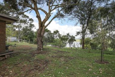 Lifestyle For Sale - VIC - Alvie - 3249 - LAKEVIEW RURAL GEM  (Image 2)