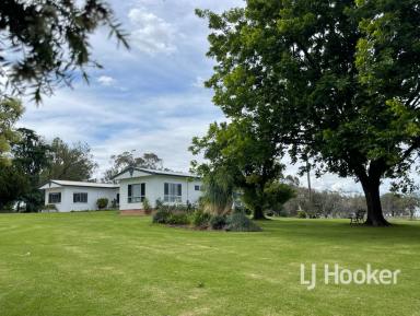 Acreage/Semi-rural For Sale - NSW - Inverell - 2360 - Outstanding Living!  (Image 2)