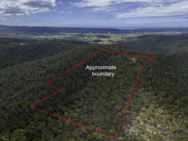 House Sold - NSW - Bega - 2550 - 25 ACRES, CLOSE TO TOWN  (Image 2)