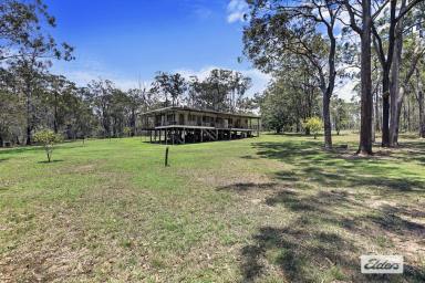 House Sold - QLD - Beelbi Creek - 4659 - OPPORTUNITY KNOCKS! 175 ACRES - A SLICE OF PARADISE!  (Image 2)