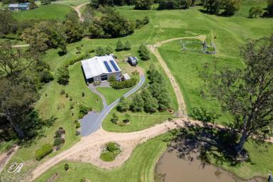 Other (Rural) For Sale - NSW - Killabakh - 2429 - Picturesque Countryside Sanctuary  (Image 2)