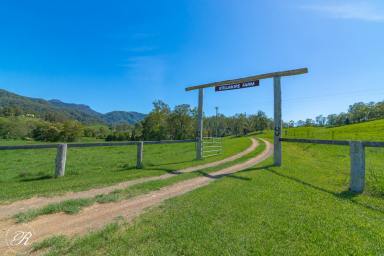 Other (Rural) For Sale - NSW - Killabakh - 2429 - Picturesque Countryside Sanctuary  (Image 2)