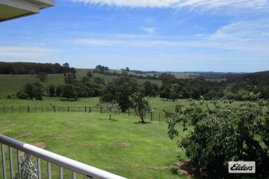 House For Sale - TAS - Highclere - 7321 - COUNTRY HOME  (Image 2)