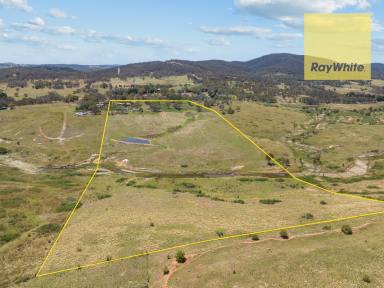 Lifestyle Sold - NSW - Goulburn - 2580 - Central Rural Haven  (Image 2)