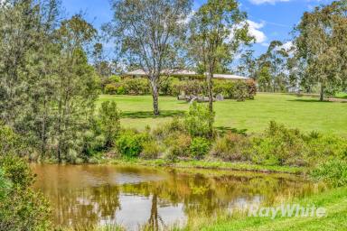 Lifestyle For Sale - NSW - Gloucester - 2422 - Tree Change Bliss on Over Five Acres!  (Image 2)