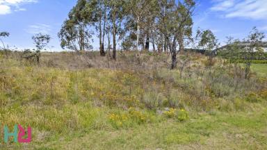 Residential Block For Sale - NSW - Bowenfels - 2790 - Secure your piece of paradise!  (Image 2)