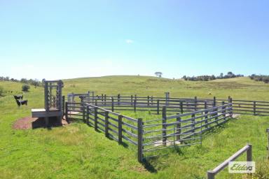Other (Rural) For Sale - VIC - Stratford - 3862 - Hows The View ?  (Image 2)