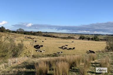 Other (Rural) For Sale - VIC - Stratford - 3862 - Hows The View ?  (Image 2)