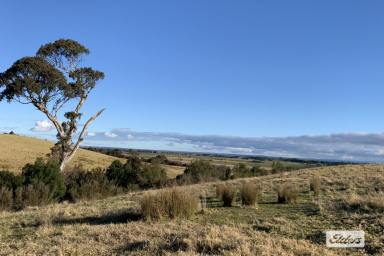 Other (Rural) For Sale - VIC - Stratford - 3862 - Hows The View ?  (Image 2)